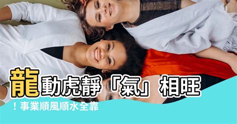 龍怕吵 虎怕臭|住宅風水的基本法則